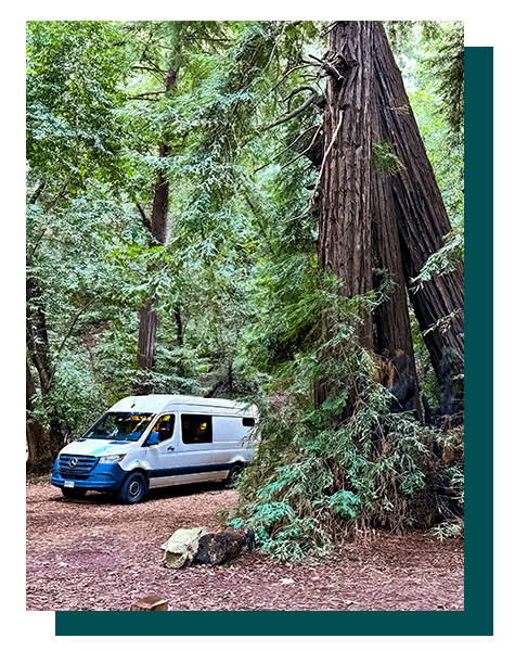 DIY Sprinter campervan tucked beneath a massive redwood tree during our California road trip